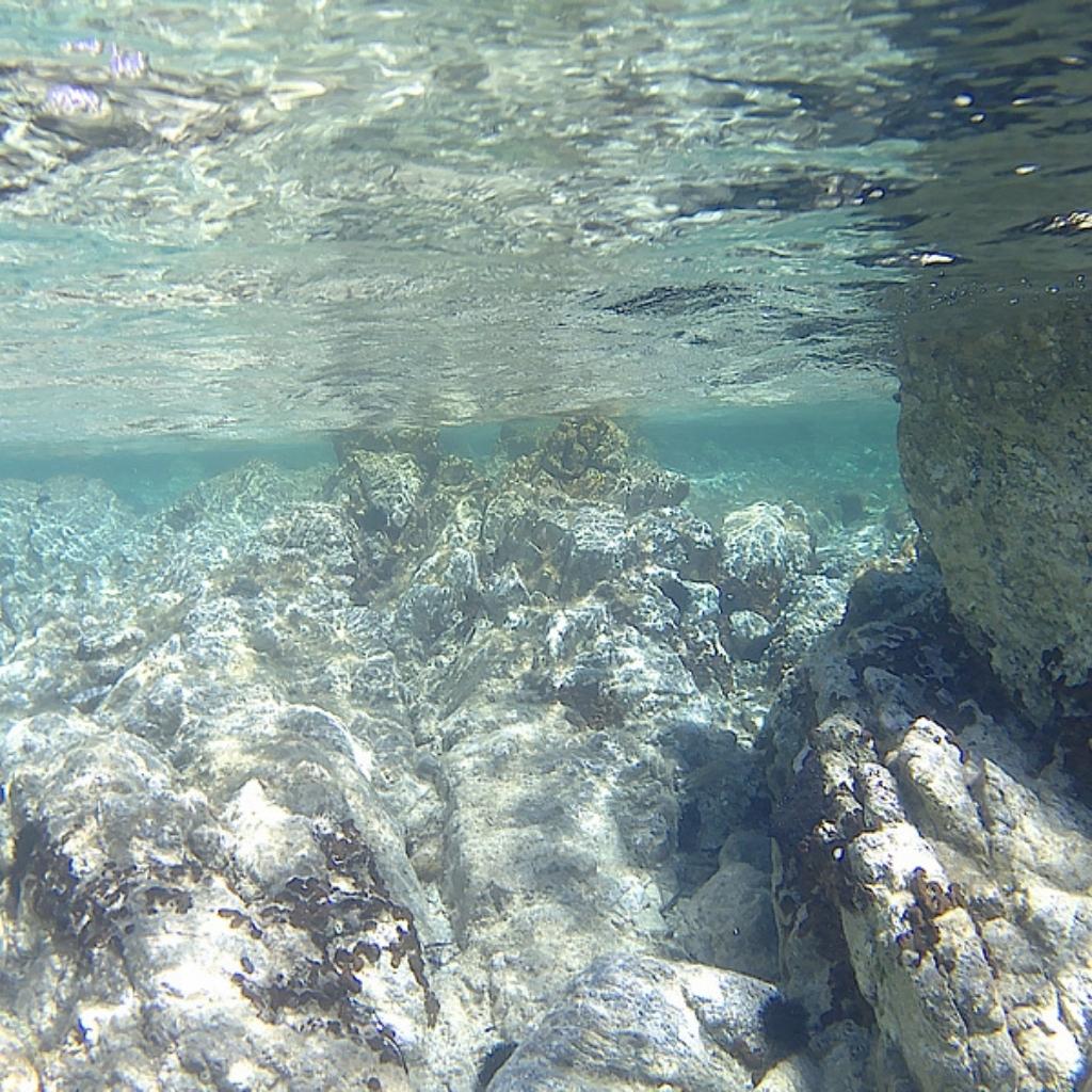 gal5-home-san-teodoro-golfo-aranci-snorkeling-tour-cala-suaraccia-tavolara-piscine-di-molara-insula360